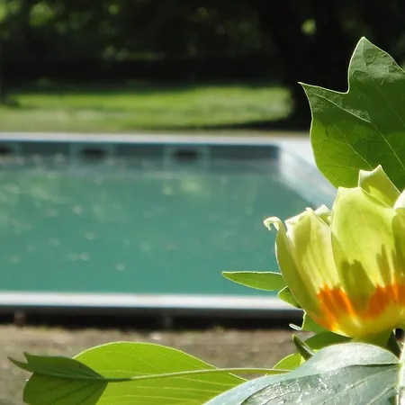 La Rebiere D'or, Et Bed & Breakfast Mouleydier